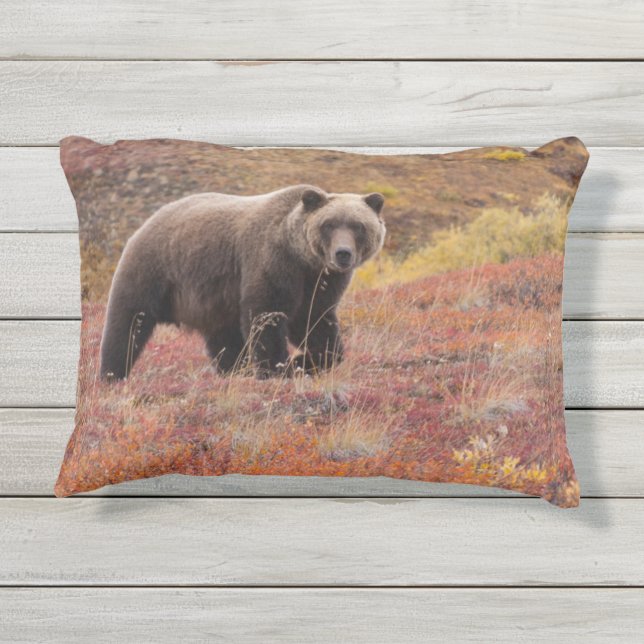 Coussin D'extérieur L'Ours Grizzli Parcourt Les Couleurs D'Automne En  (Dos)