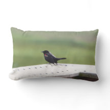 Merle à ailes rouges