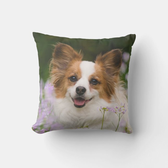 Coussin D'extérieur Portrait romantique mignon de chien de Papillon - (Recto)