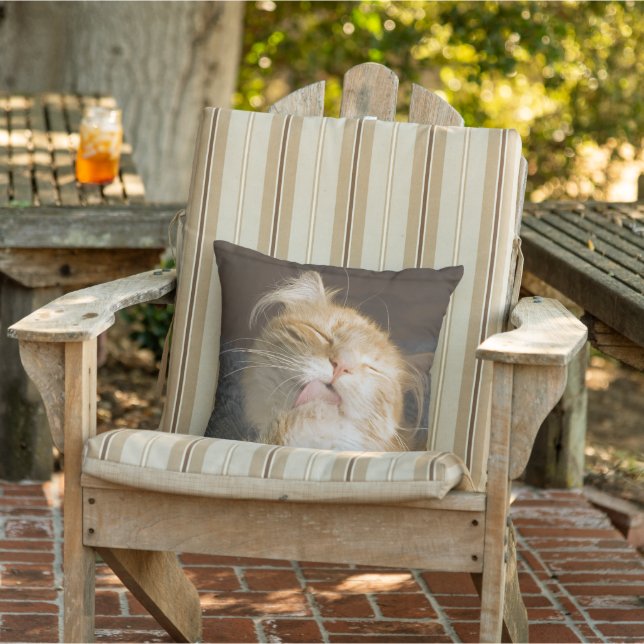 Coussin D'extérieur Prévenir le Maine Coon Fermer la photo (Chaise)