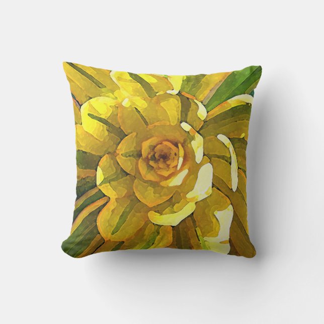 Coussin D'extérieur Succulent d'Aeonium de rayon de soleil (Recto)