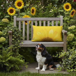 Coussin D'extérieur Tournesol Jaune Lombaire Extérieur Écouteur