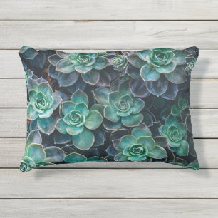 Coussin D'extérieur Usines succulentes vert-bleu de détente de cactus