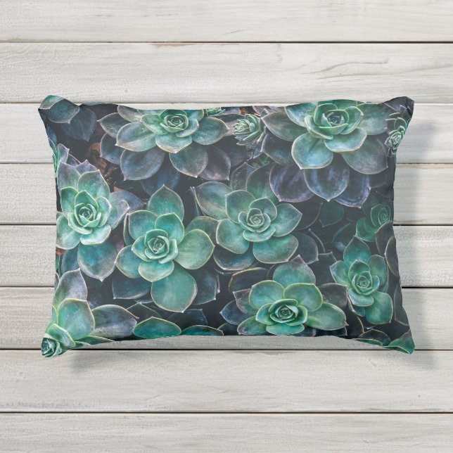 Coussin D'extérieur Usines succulentes vert-bleu de détente de cactus (Devant)