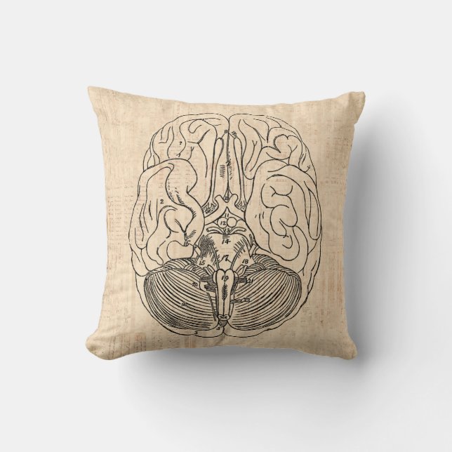 Coussin Diagramme cérébral Art Médicale Vintage (Recto)