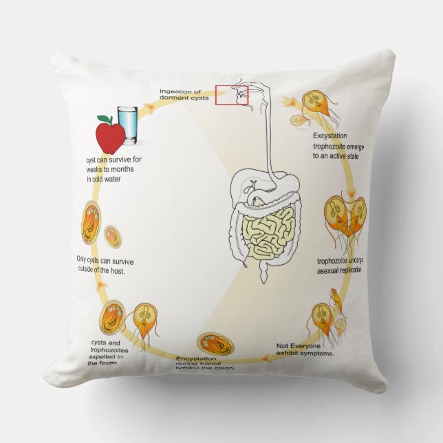 Coussin Diagramme de l'oreiller à lancer Giardia Cycle de  (Recto)