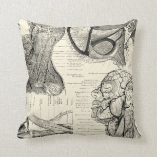 Coussin d'illustration anatomie