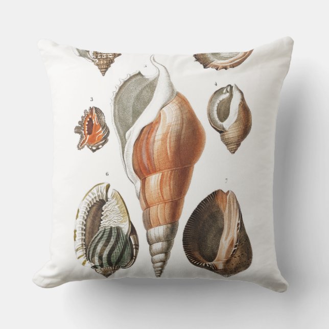 Coussin d'illustration Shell vintage (Recto)
