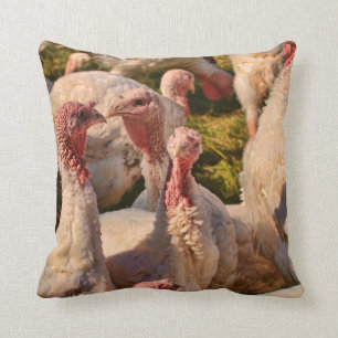 Coussin Dindes