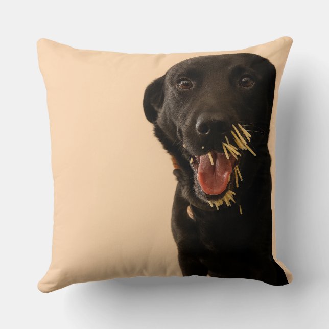 Coussin Dog vs. Porcupine Pillow (Verso)