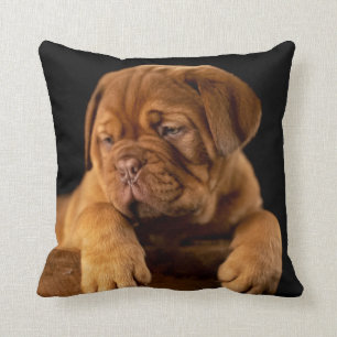 Coussin Dogue de Bordeaux - Chien à chiots français