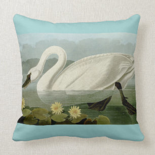 Coussin d'oiseau de cygne muet d'Audubon
