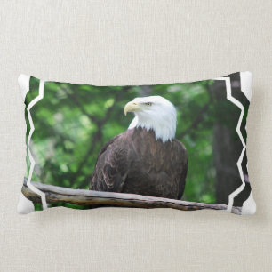 Coussin d'oiseau d'Eagle chauve