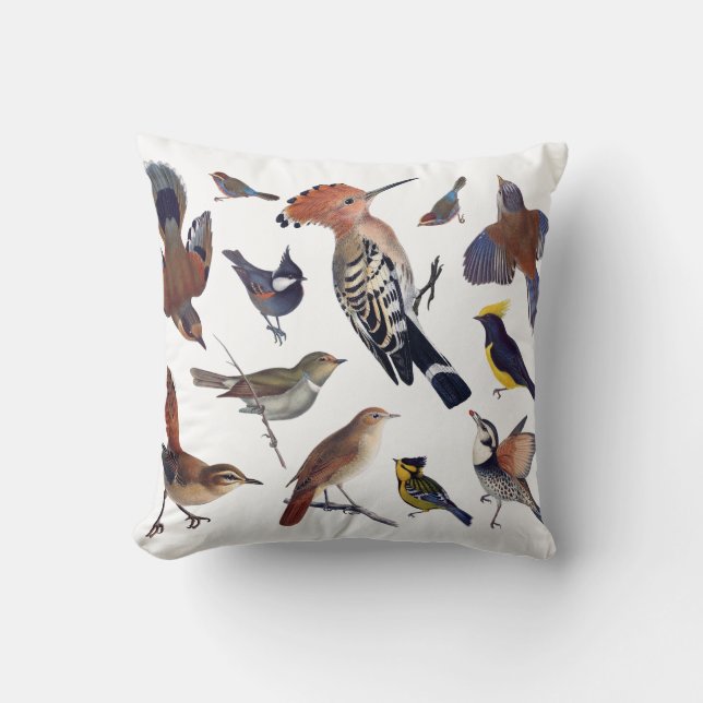 Coussin d'oiseaux (Recto)
