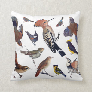 Coussin d'oiseaux