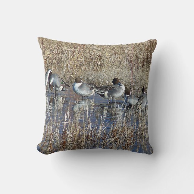 Coussin d'oiseaux de canards de canard pilet (Recto)