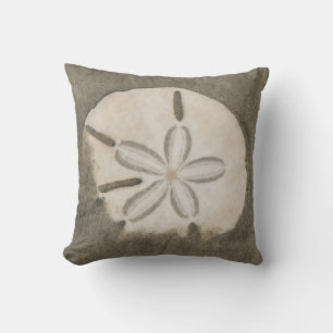 Coussin Dollar de sable (Echinarachnius parma)