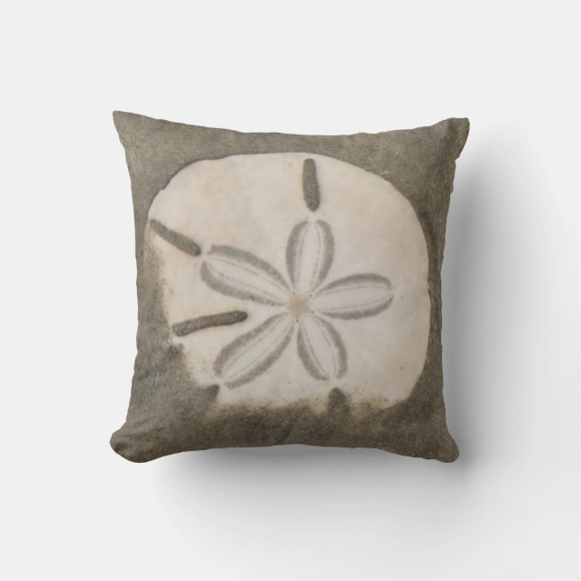 Coussin Dollar de sable (Echinarachnius parma) (Recto)