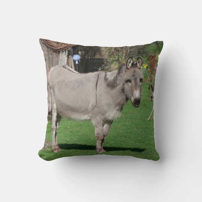 Coussin Donkey Sucré Dans Le Jardin (Recto)