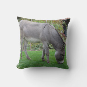 Coussin Donkey Sucré Dans Le Jardin