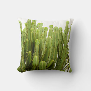 Coussin d'oreiller vert Succulent Plantes