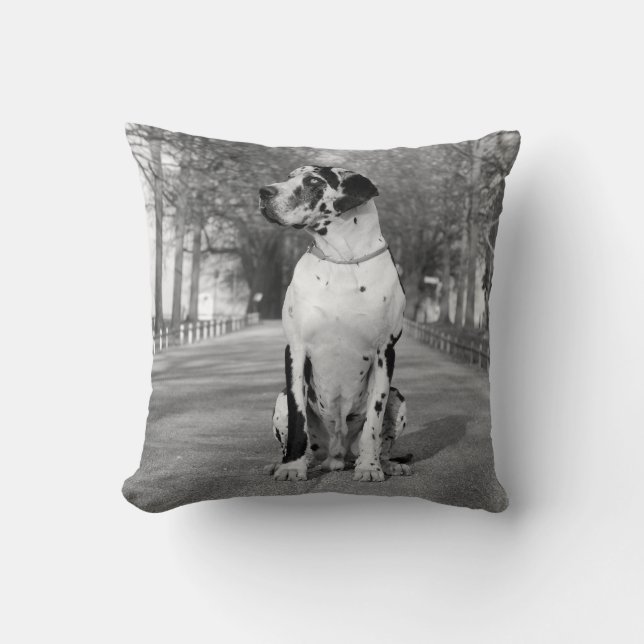 Coussin double impression Grand Danois (Recto)