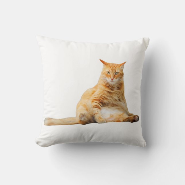 Coussin doux avec chat orange mignon (Recto)