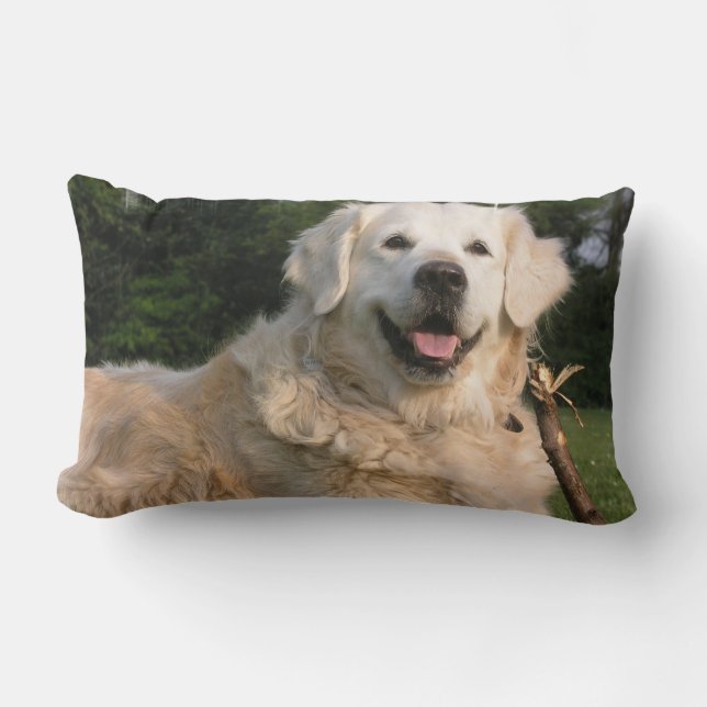 Coussin doux de golden retriever (Recto)