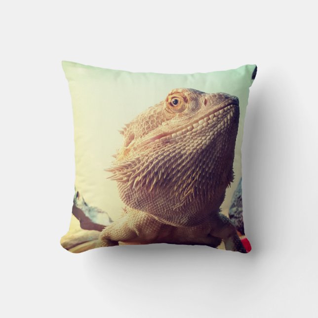 Coussin Dragon barbu (Recto)