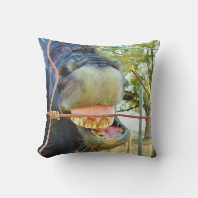Coussin Drôle cheval miniature visage (Recto)