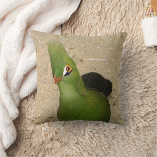 Coussin Drôle Curieux Guinée Turaco Oiseau Vert