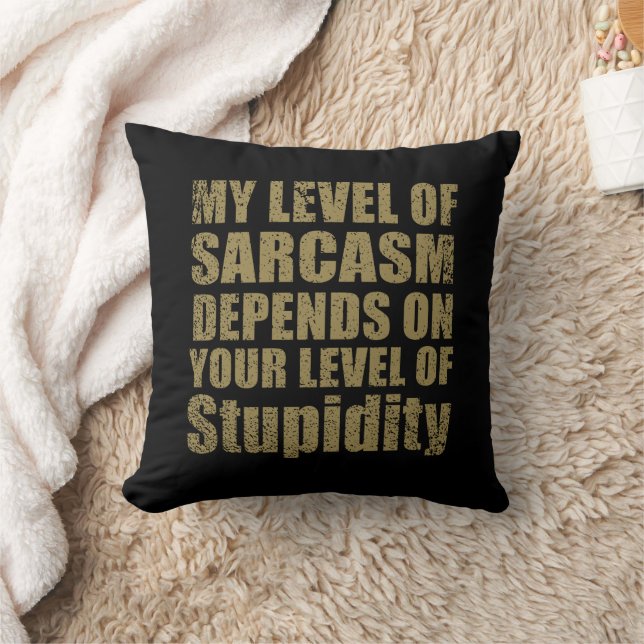 Coussin Drôle sarcastique dit citations célèbres (Couverture)