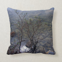 Coussin du lac 2 mirror