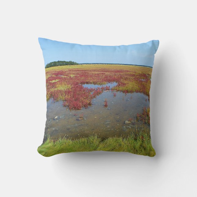 Coussin du marais de Hammonasset (Recto)