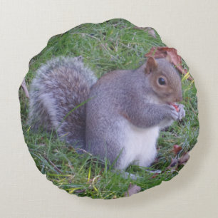 Coussin du midi