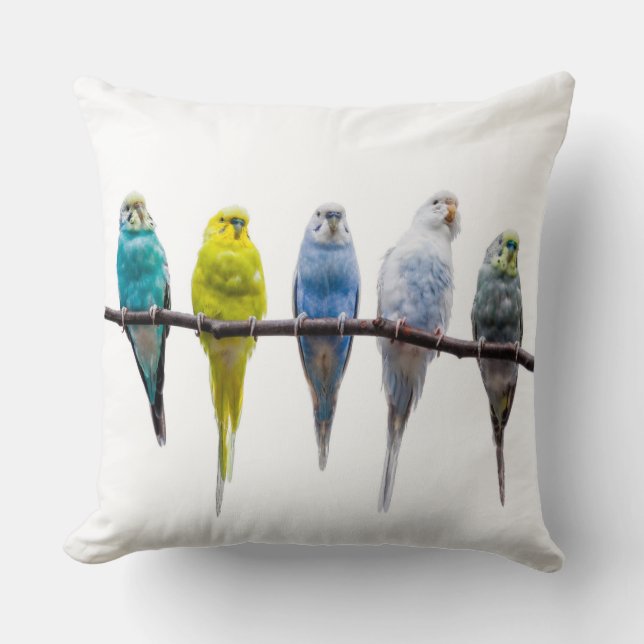Coussin Économies (Recto)