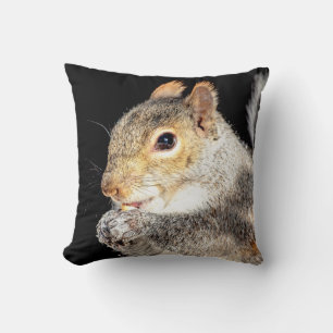 Coussin Écureuil mangeant une noix