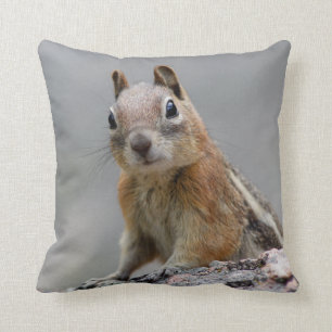 Coussin Écureuil moulu