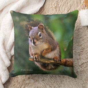 Coussin Écureuil rouge souillé dans le Fir