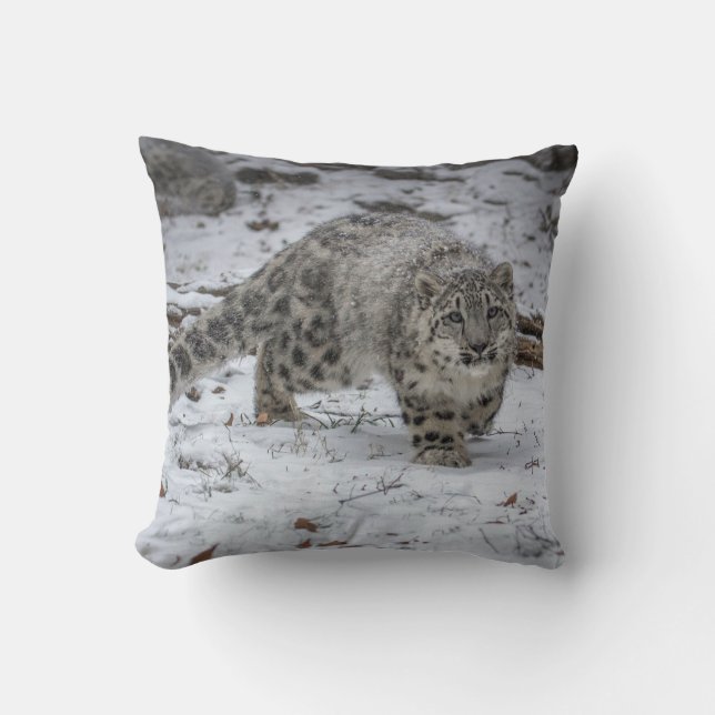 Coussin Égrappage de CUB de léopard de neige (Recto)