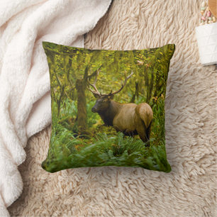 Coussin Élan Roosevelt mâle