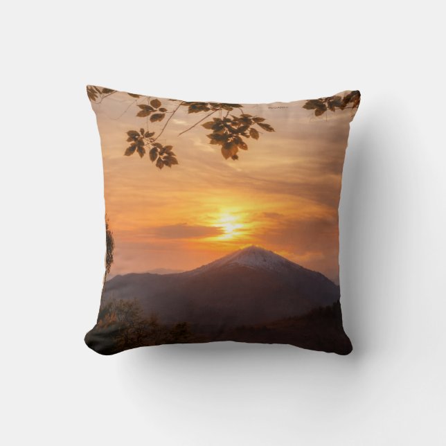 Coussin elegante  (Recto)