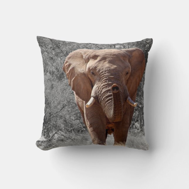 Coussin Éléphant africain (Recto)