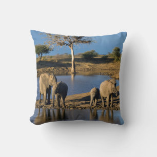 Coussin Éléphants de brousse d'Afrique (Loxodonta Africana