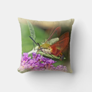 Coussin Élimination de la papaye des colibris