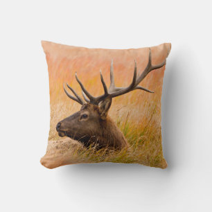 Coussin Elk (Cervus Elephus) Reposé Dans L'Herbe Des Prés
