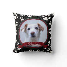 Empreintes de pattes remarquables du Mémorial des