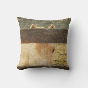 Coussin En Parcourant La clôture