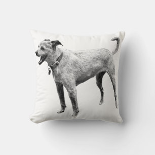 Coussin Énergie sur le terrain