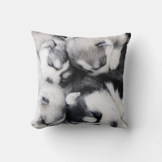 coussin enroué câlin mignon de chiots de n (Recto)
